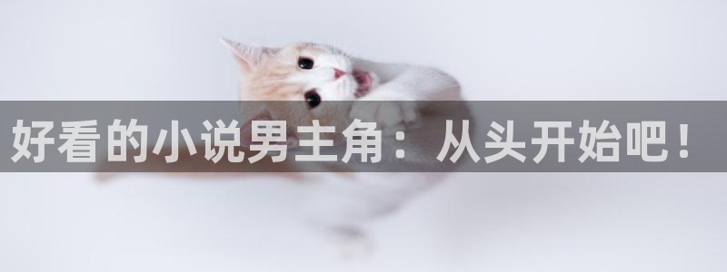 omofun动漫一个：好看的小说男主角：从头开始吧！