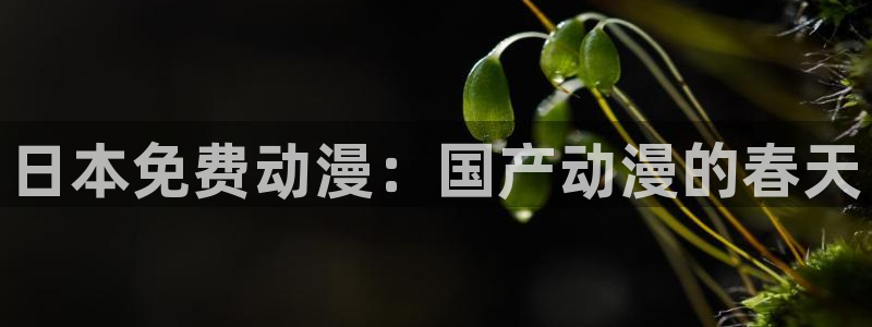 omofun动漫共和国：日本免费动漫：国产动漫的春天