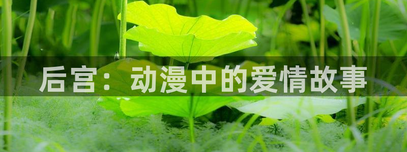 omofun动漫网在线观看：后宫：动漫中的爱情故事