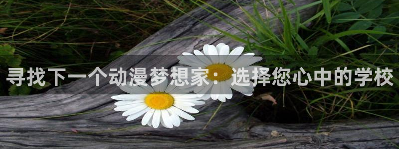 动漫共和国(omofun)官网：寻找下一个动漫梦想家：选择您心中的学校