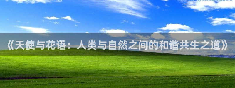 omofun动漫网：《天使与花语：人类与自然之间的和谐共生之道》